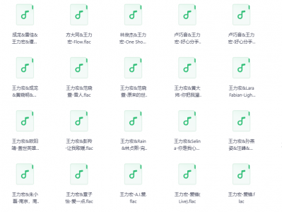 【无损音乐】王力宏歌曲合集