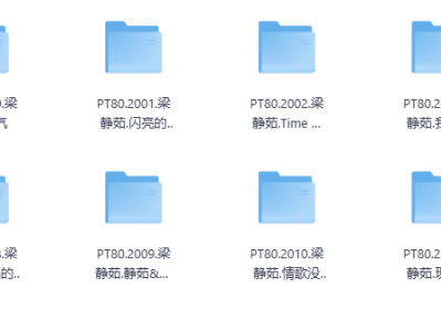 【无损音乐】必藏！梁静茹无损音乐大合集，经典情歌一次听个够！