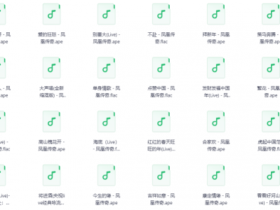 【无损音乐】【凤凰传奇】音乐合辑，无损FLAC+Ape，满足大家的听觉。