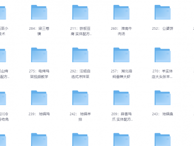 花了2.4万，全部买下来的小吃制作教程，适合小本创业学艺