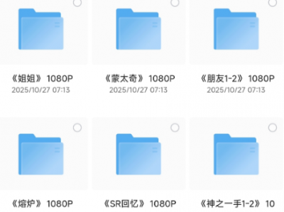 韩国最出色的11部R限制电影，尺度非常之大，1080P画质 + 韩语内嵌中文字幕