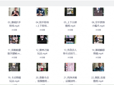 花了399买来的剪映制作，特效、运镜转场（一共113节视频）