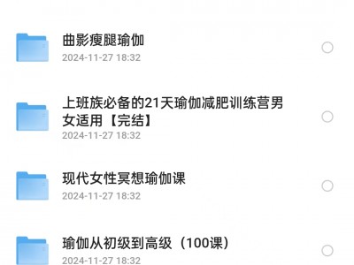 花999买的11套瑜伽全套课程106G