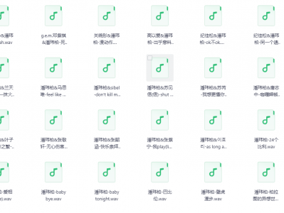 【无损音乐】潘玮柏173首经典嘻哈说唱歌曲合集[WAV+MP3]